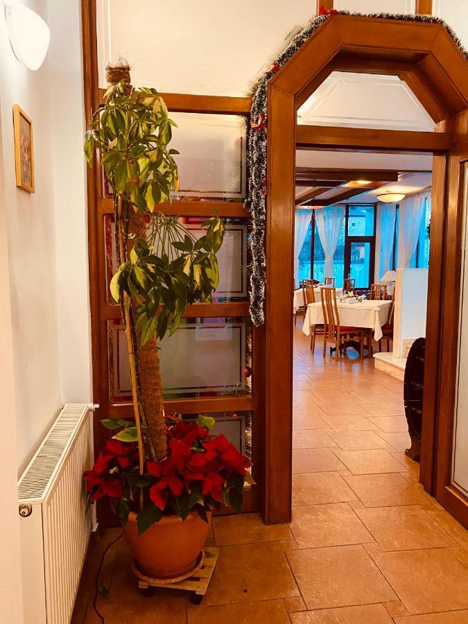 布拉索夫 Casa Jasmine酒店 外观 照片